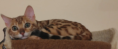 20201126_164147.jpg