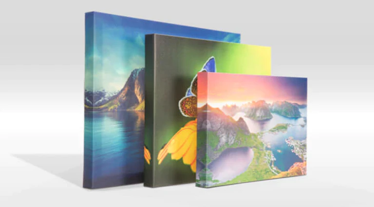 Canvas Prints