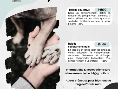 Les mercredis après midi avec VEHA