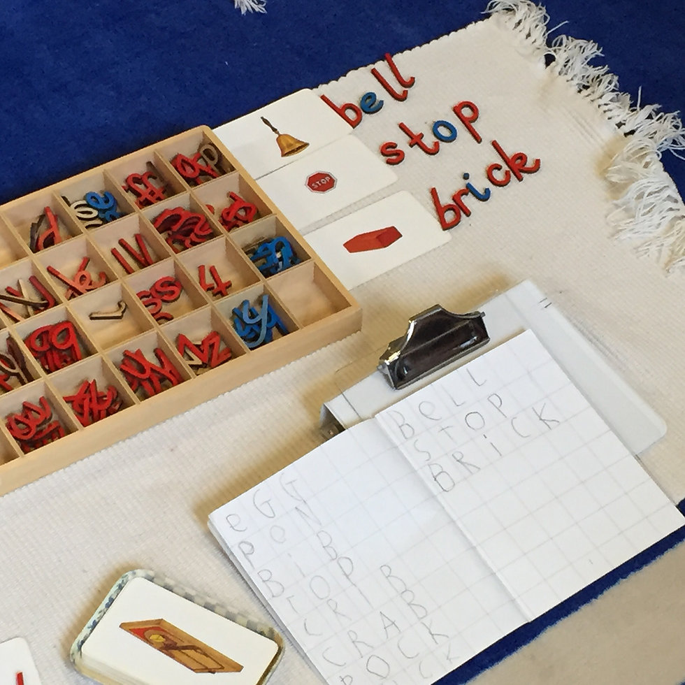 Language skill workshop