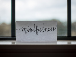 Never Too Much Mindfulness