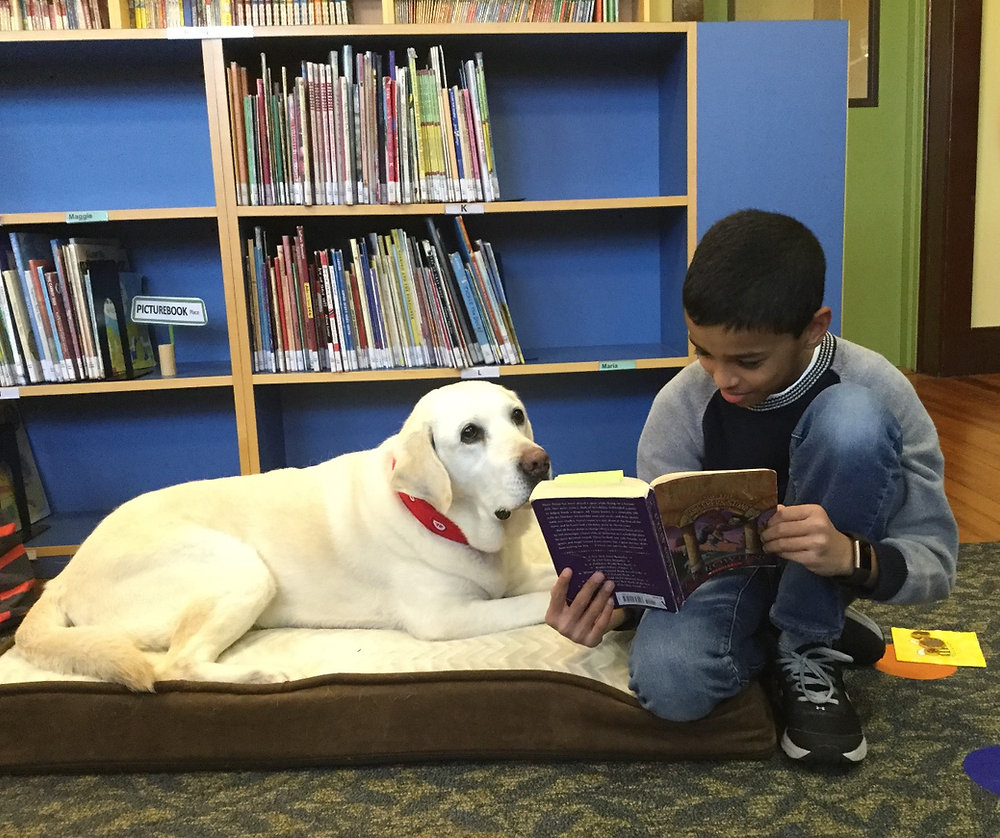Reading Paws Program New to the NMS Library: PAWS TO READ Program