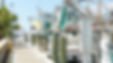 L1160006.JPG