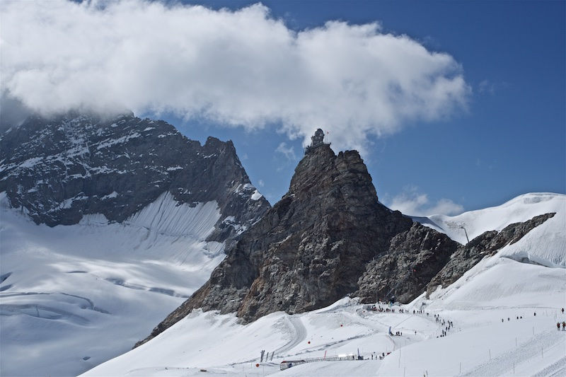 Oberland Bernois (8)