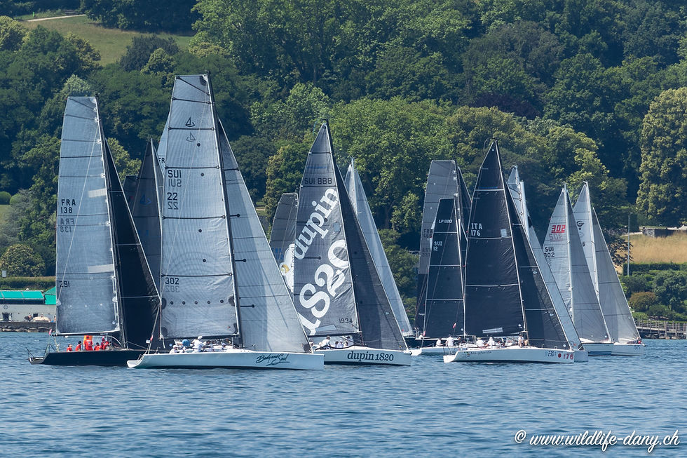 Régate Genève Rolle 2022-6