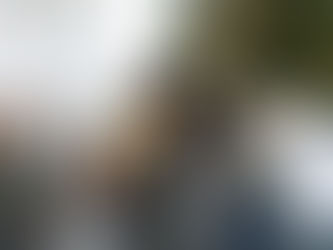 Obedience in an Age of Expression.