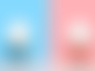 The Illusion of Balance: Why Dual Allegiance Fails