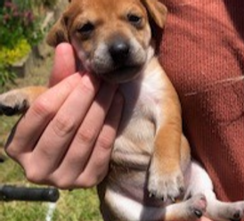 bella 13-12-21 b_edited.png