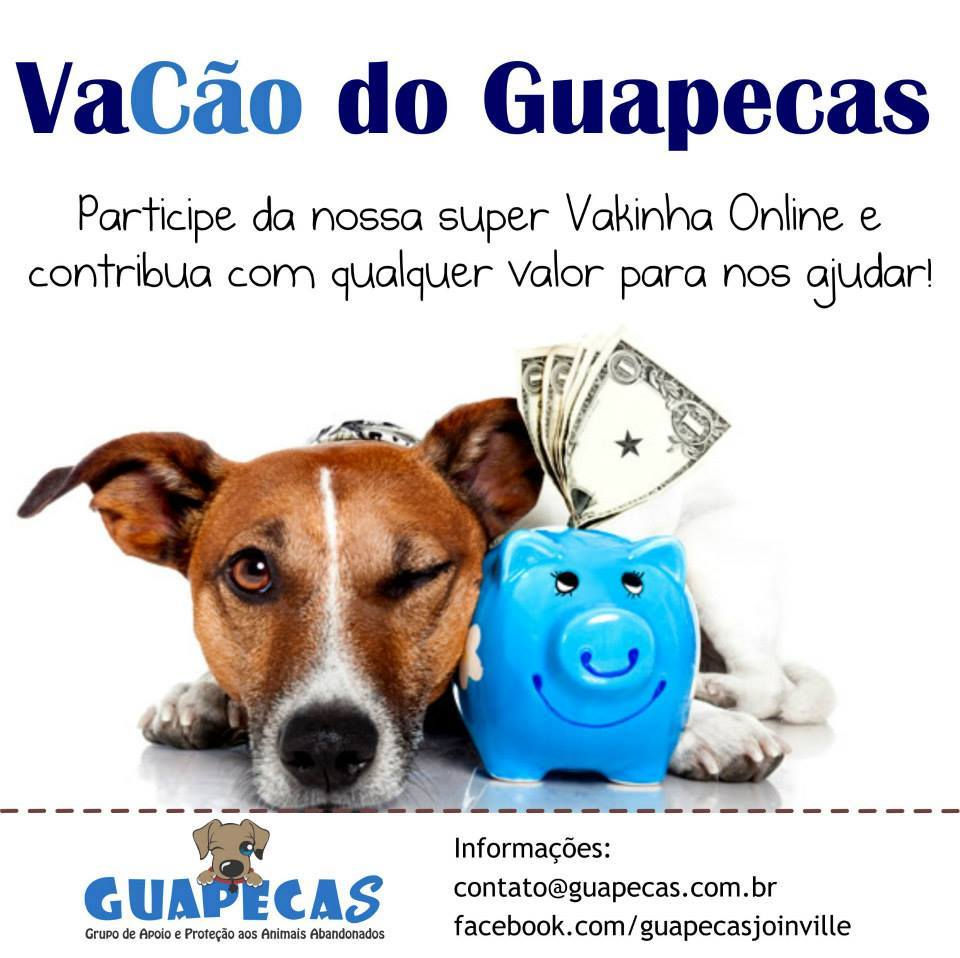 vaquinha.jpg