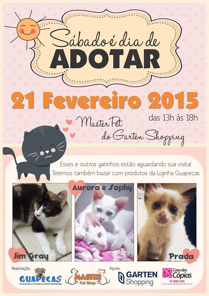 feira_gatos.jpg