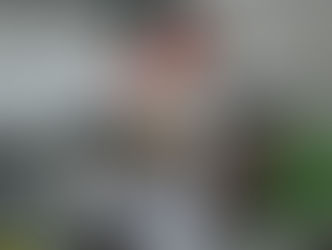 Criança, gato e cachorro, pode?