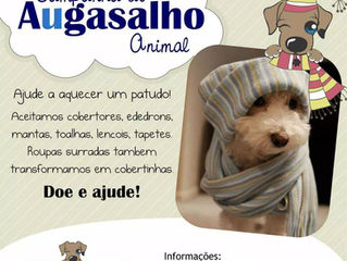 Campanha do agasalho
