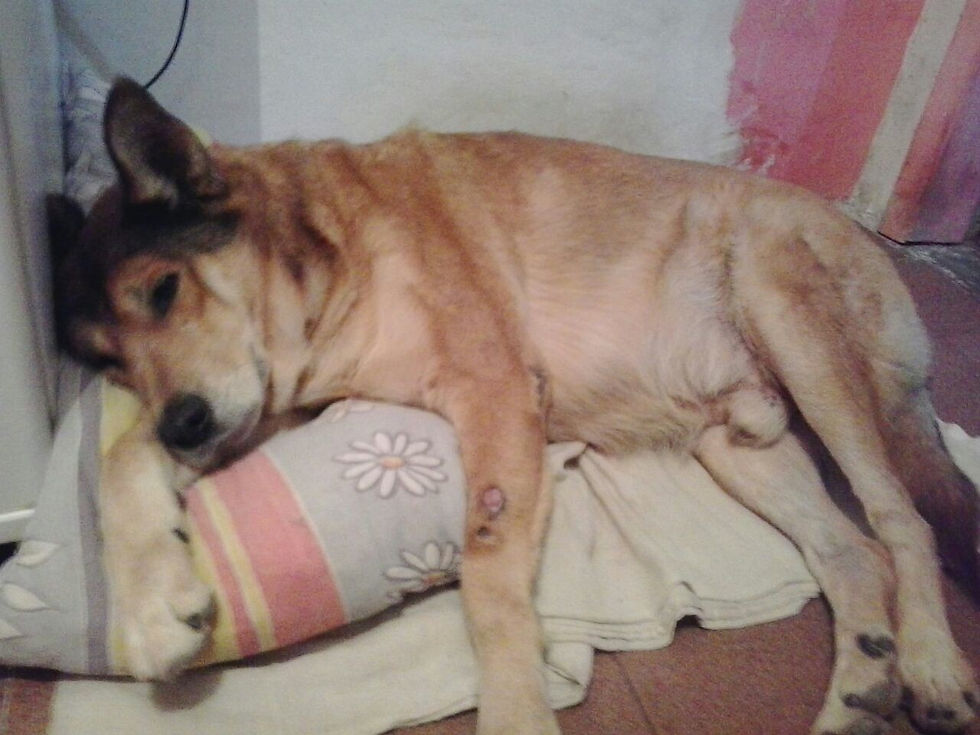 altAu284HD1qTXuVgvek50-Jxhm_yUEz4umjQVwgaVzNJma.jpg