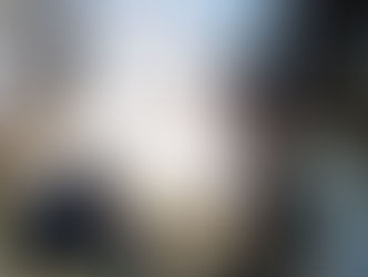 Sessão de fotos dos Guapecas