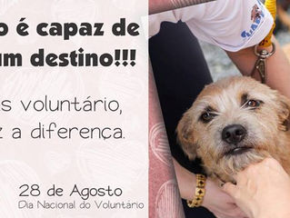 Dia do Voluntário
