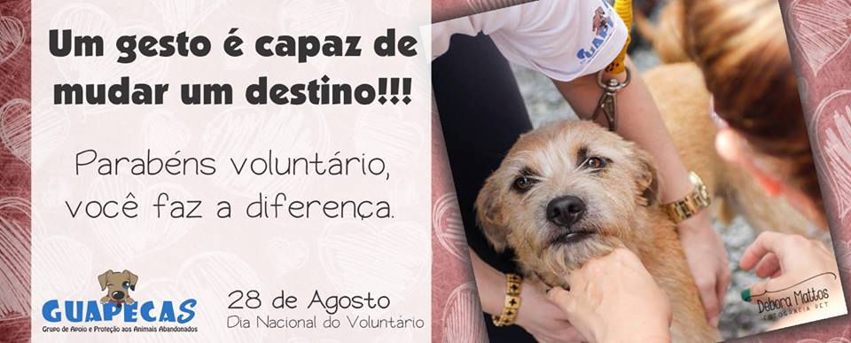voluntariado.jpg