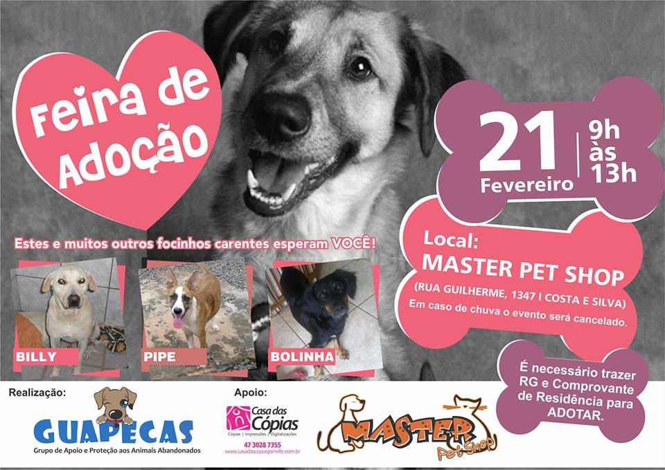 feira_caes.jpg