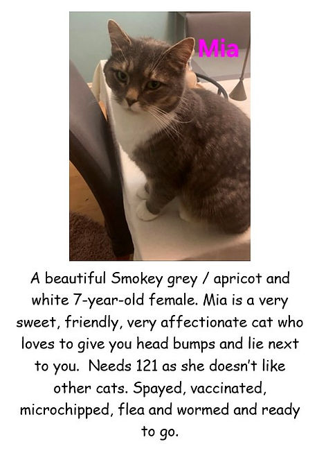 MIA 7 YR OLD POSTER PIC.jpg