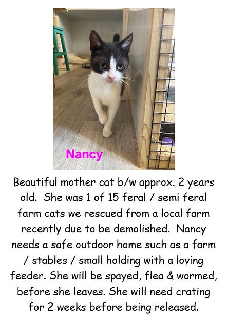 NANCY SEMI FERAL MANOR FARM POSTER PIC.jpg