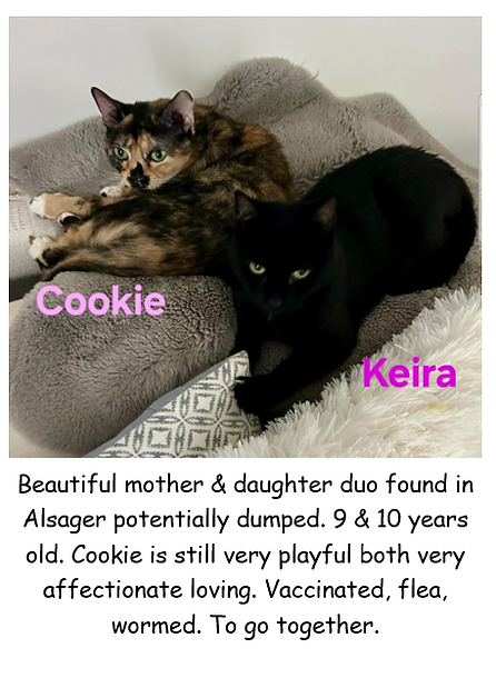 KEIRA & COOKIE OLDER GIRLS POSTER PIC.PNG