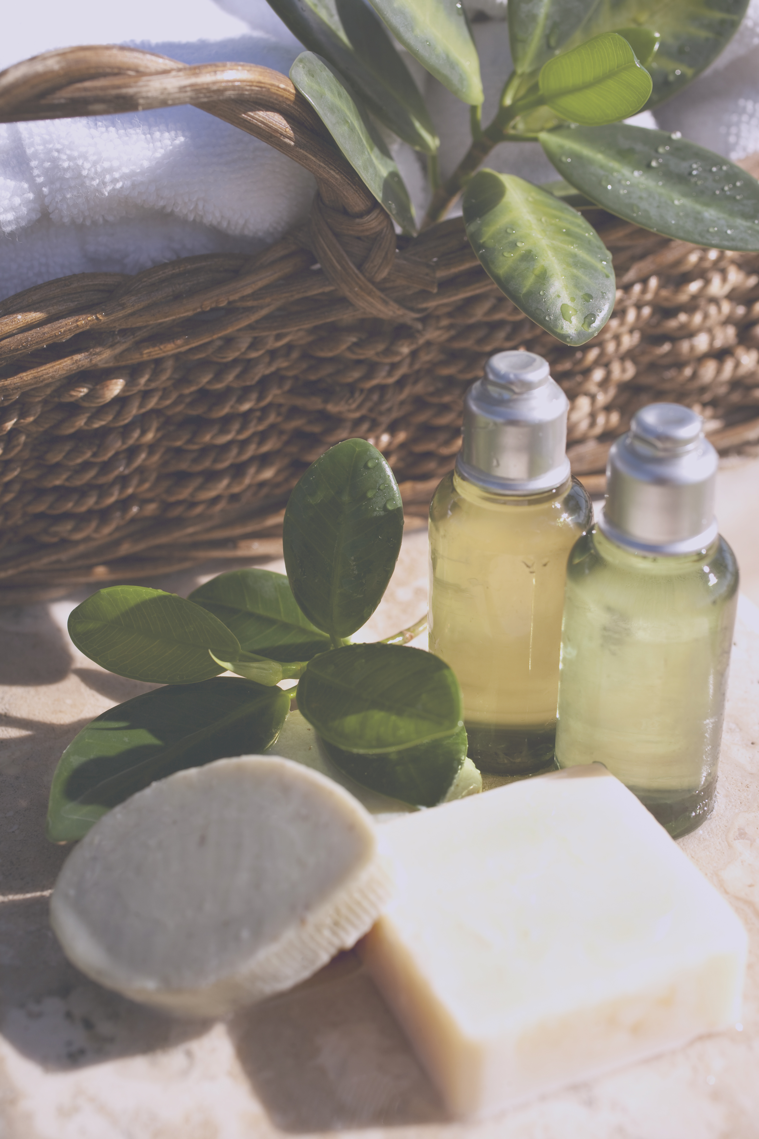 Half Day Pamper $435.00