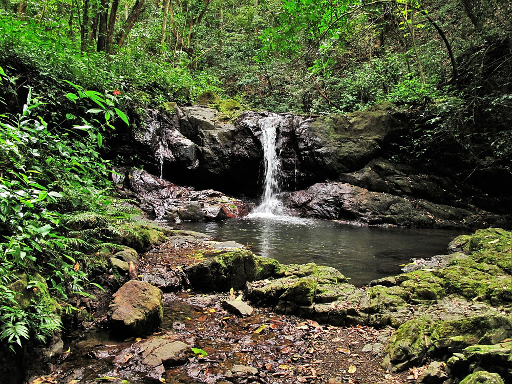 Cascada pequeña antes de la Cascada de Charco Prieto