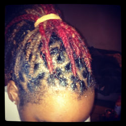 Retwist and Box Braided