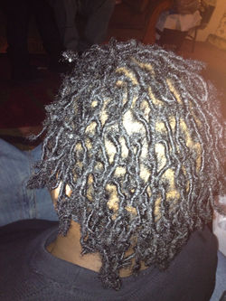 Starter Locs