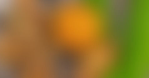 The Role of Curcumin in Cancer Management