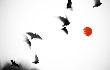 iStock-1442293226 [Converted]-01.jpeg