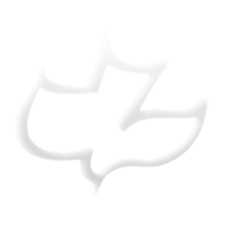 Calvary Chapel White dove