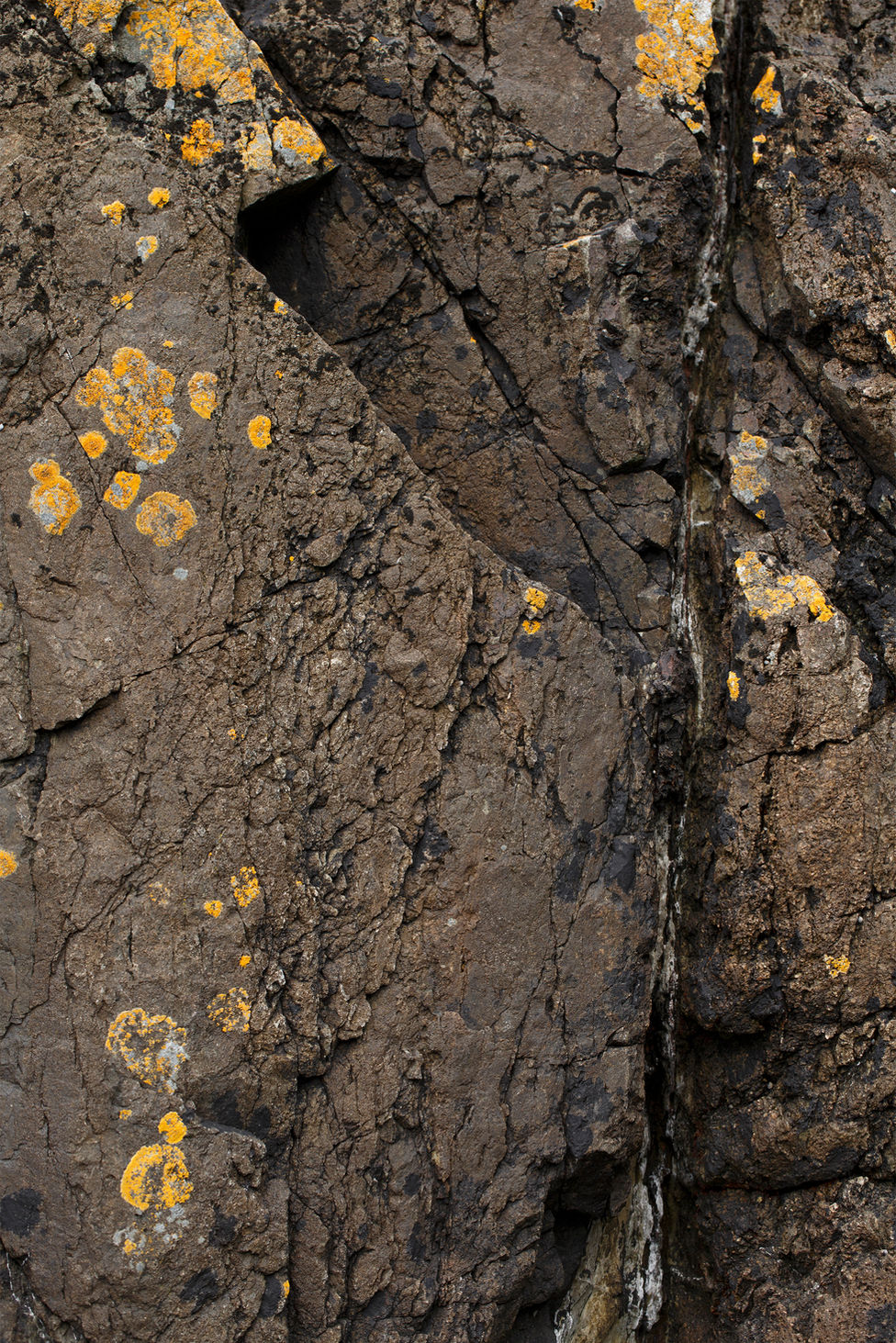 Surface of a cliff face in the Channel Islands.