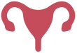 uterus vector_edited.png