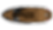 45b5d56e19a6a6a379e08425649232f8.png