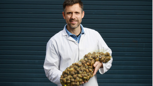 Snail Sales Are On The Up For 2021