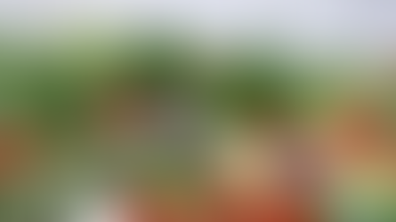 Nature’s Choice launches fresh produce boxes following lockdown success