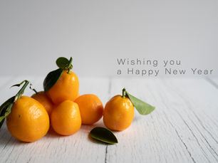 Year-End Reflections and Gratitude for 2024