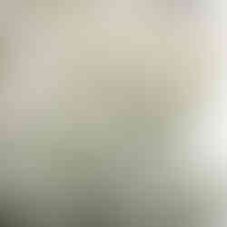 leaves are decorated by snow