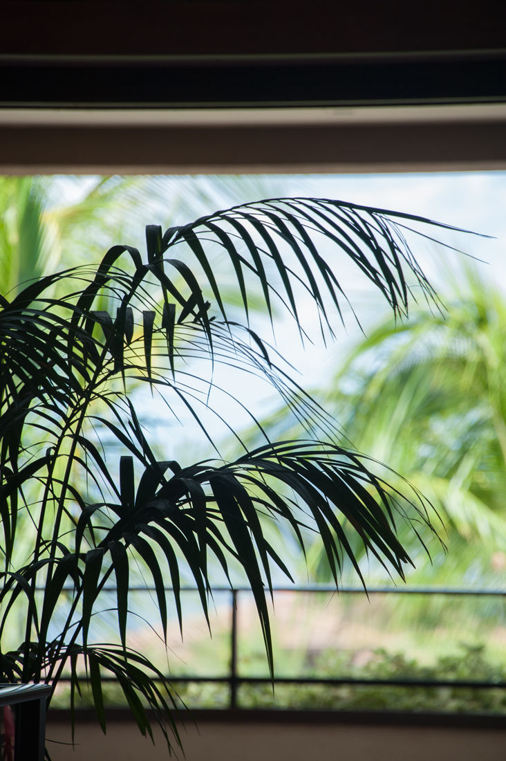 Wailea_DSC_0620