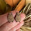 Thumbnail: Australian Quokka Handmade Wood Studs