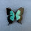 Thumbnail: Ulysses Butterfly Handcrafted Brooch