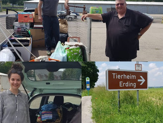 Tolle Spenden in den vergangene Tagen