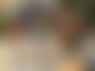 Wieder tolle Unterstützung durch Paedcare!