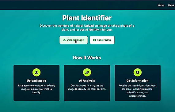 未命名 (1200 x 800 像素)_edited.jpg