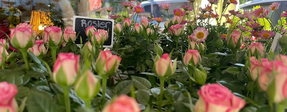 Devanture_magasin_fleurs01