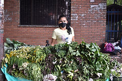 DSC_0036.JPG