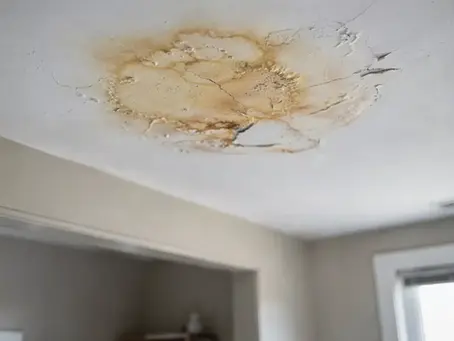 Flat Roof Leak Repairs in Indianapolis