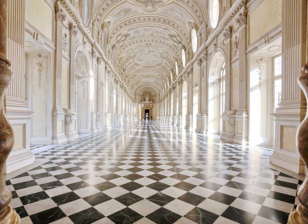 galleria-diana-reggia-venaria.jpg