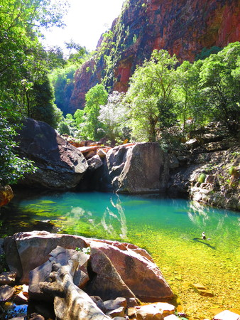 DESTINATION - ZEBEDEE SPRINGS