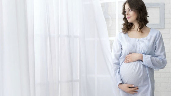 Ajit Patel Sanda Wellness - Key Components To Having a Healthy Pregnancy